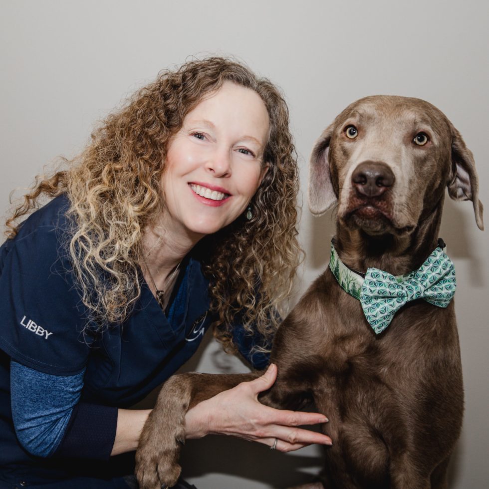 Cochrane, Alberta T4C2E7 Veterinarians Arrowhead Veterinary Centre