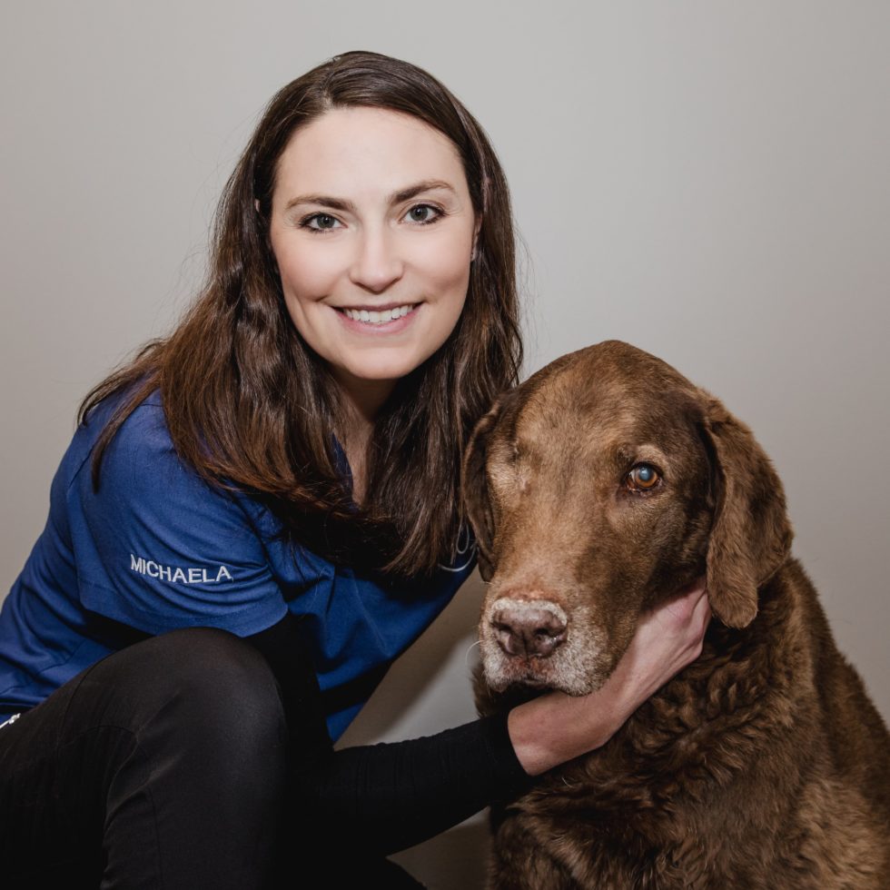 Cochrane, Alberta T4C2E7 Veterinarians Arrowhead Veterinary Centre