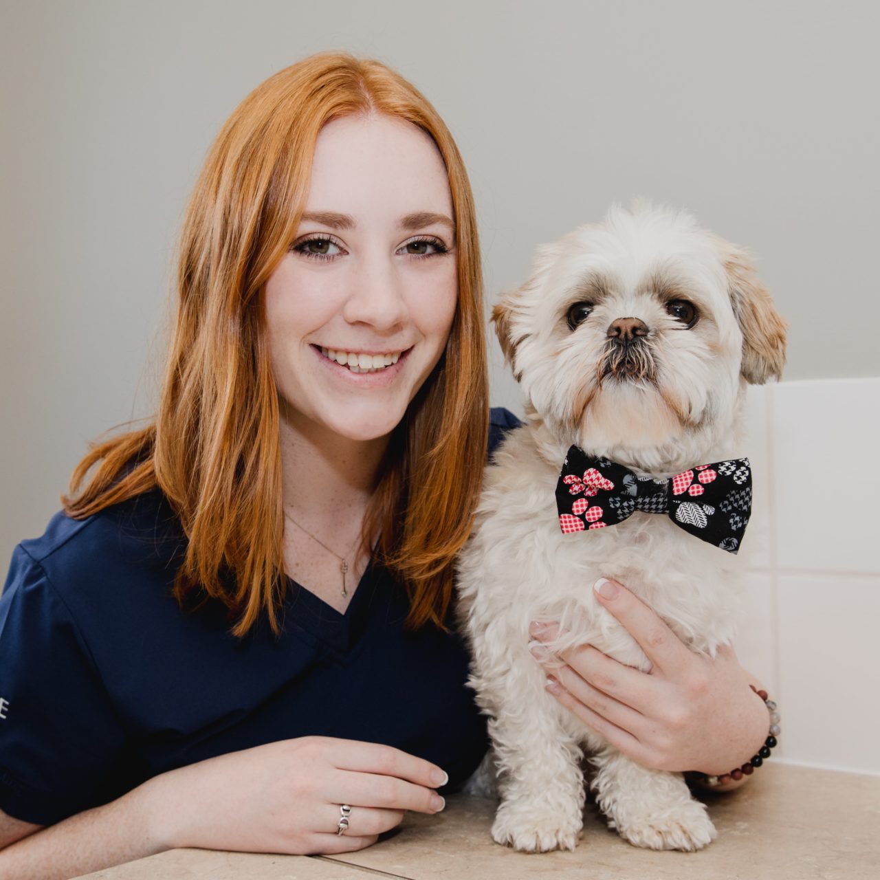 Cochrane, Alberta Vet Team Arrowhead Veterinary Centre