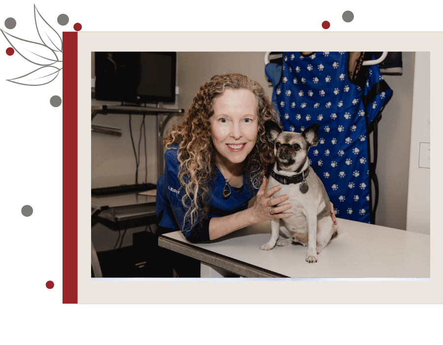 Cochrane, Alberta T4C2E7 Veterinary Reviews Arrowhead Veterinary Centre